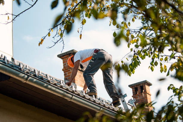 Best Roof Repair Services  in Jeffersonville, KY