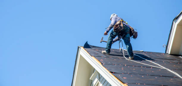 Best Roof Maintenance Services  in Jeffersonville, KY